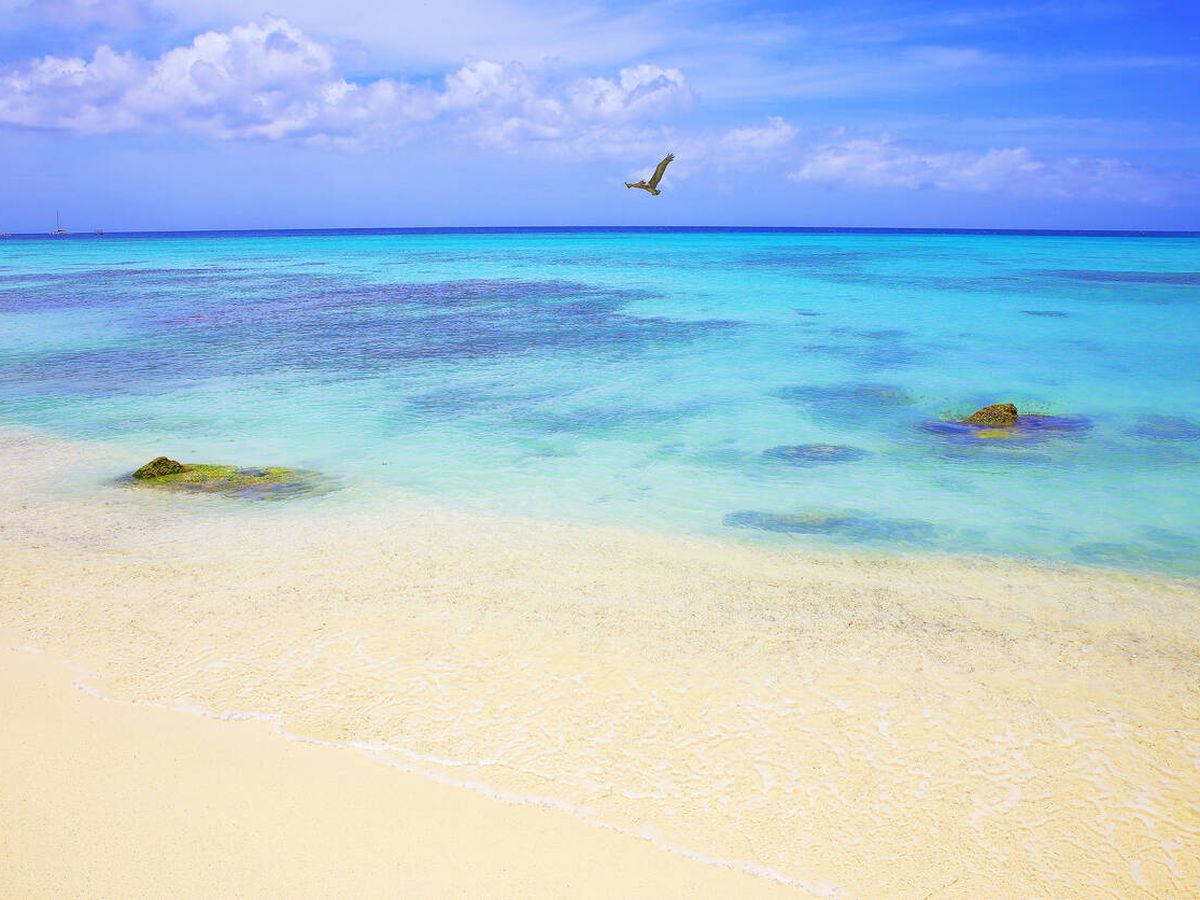 Foto: Playa tropical en Aruba. (iStock)