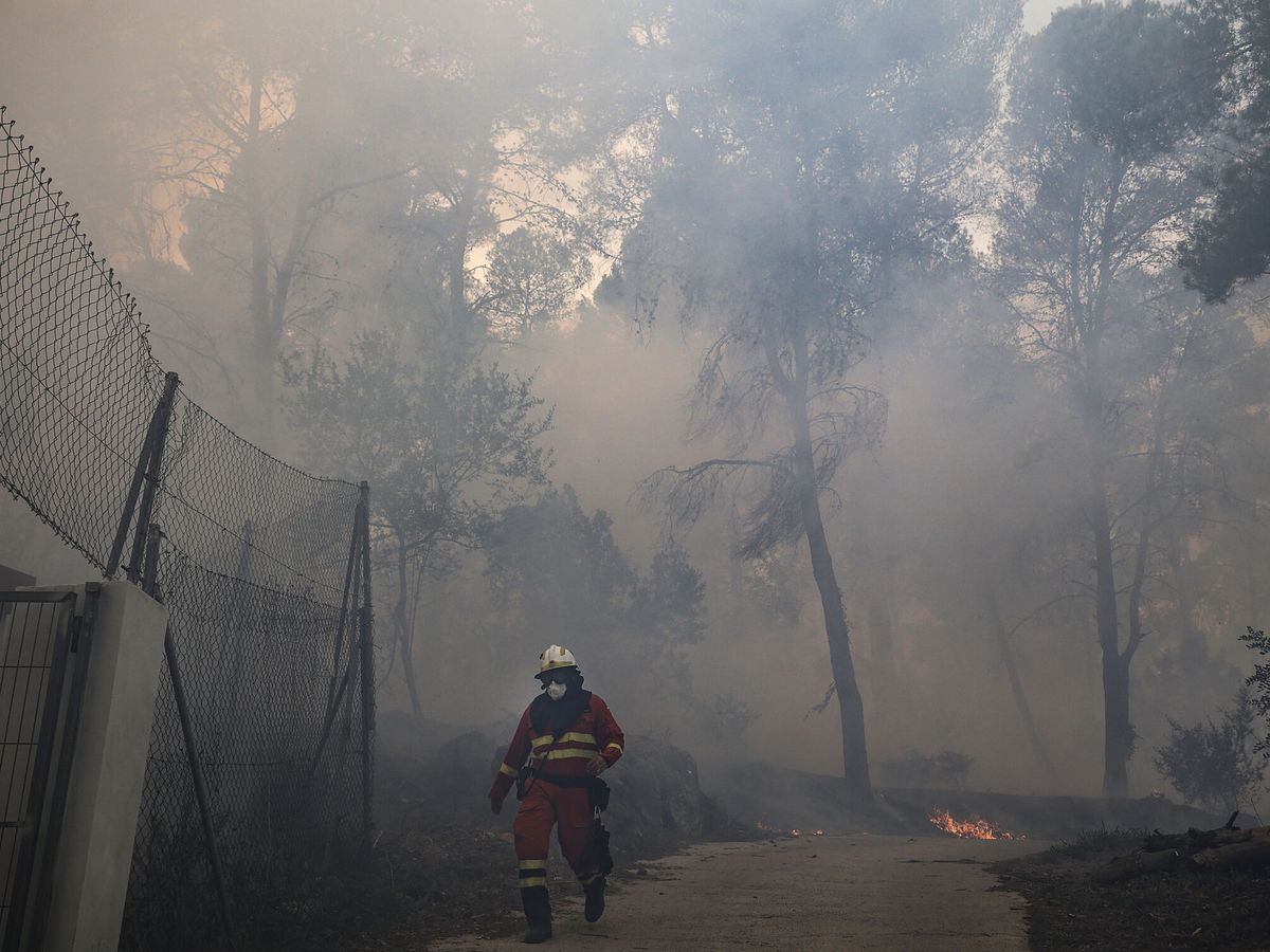 Foto: El incendio forestal de Valencia arrasa 2.000 hectáreas. (Europa Press/Rober Solsona)