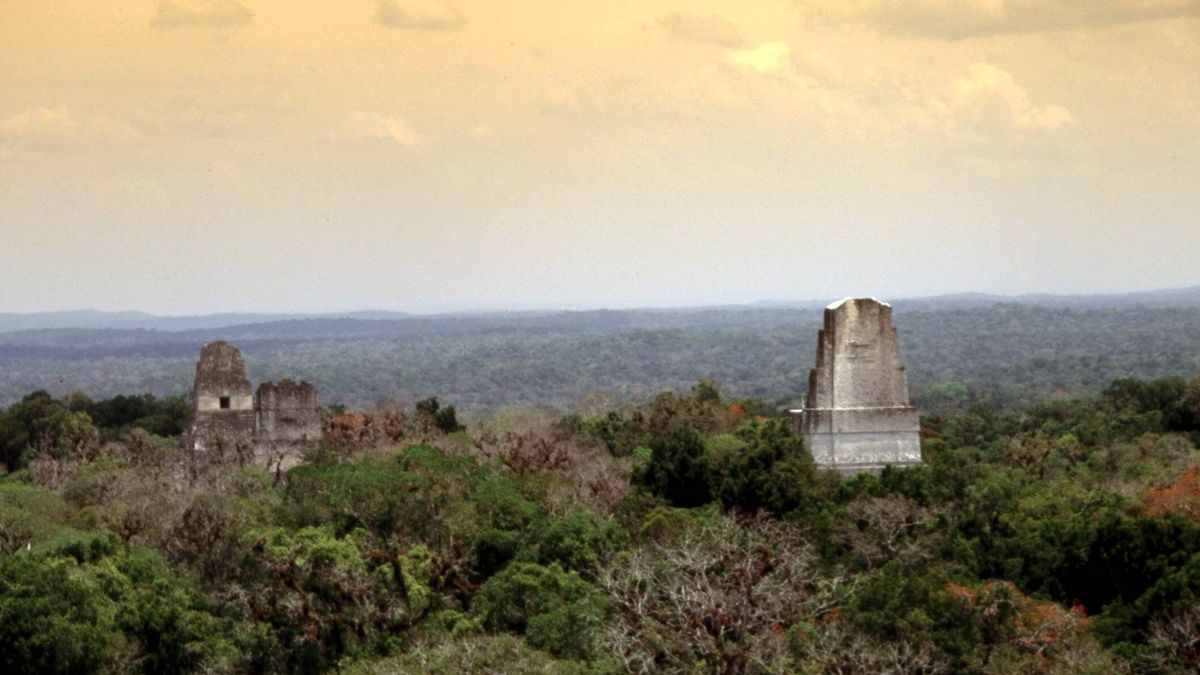 La antigua ciudad maya de Tikal que aún oculta secretos: descubren un barrio perdido