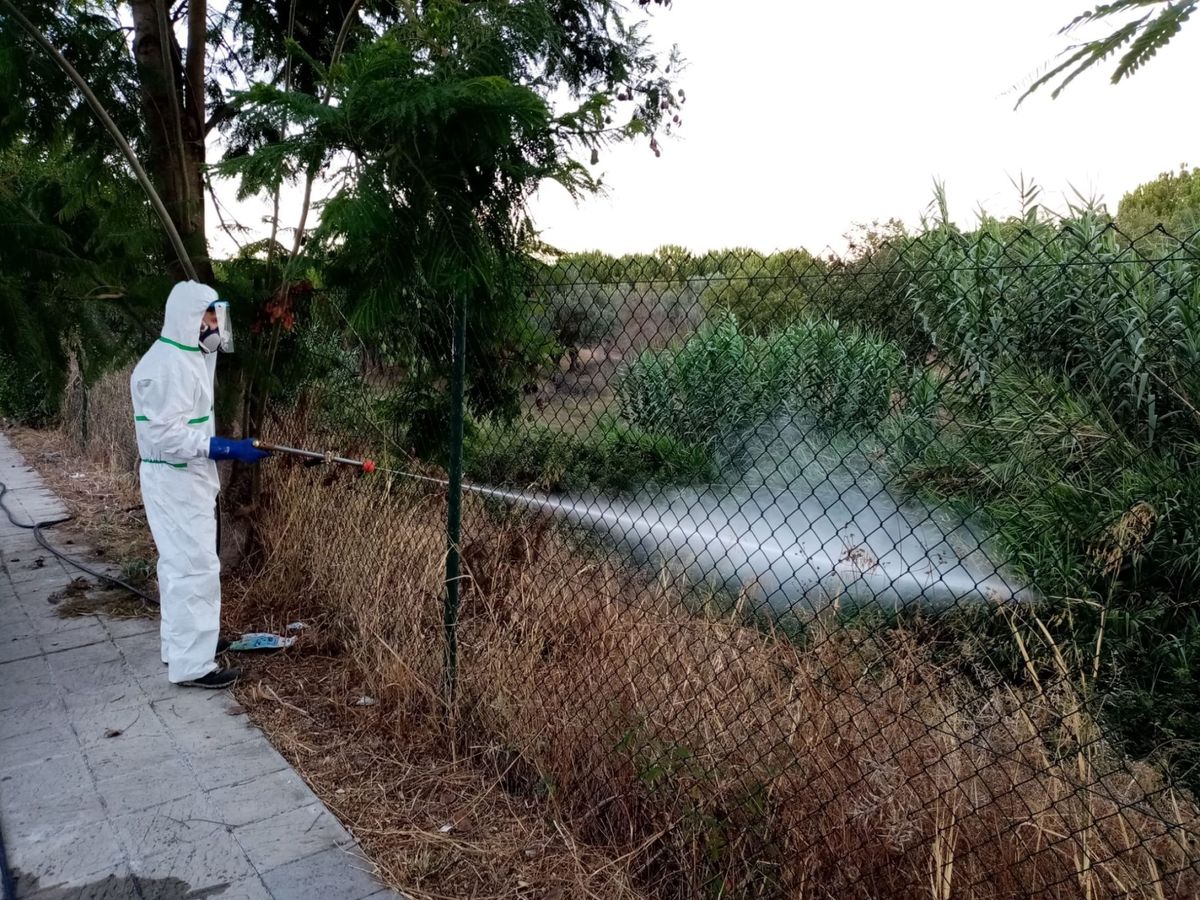 Foto: Municipios cercanos al brote aumentan la fumigación por el virus del Nilo. Foto: EFE Ayuntamiento de Palomares del Rio