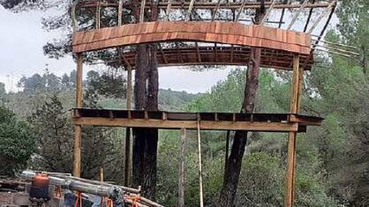 Ordenan la demolición de una casita ilegal edificada en un árbol y sancionan con 37.000€ al propietario en Ibiza