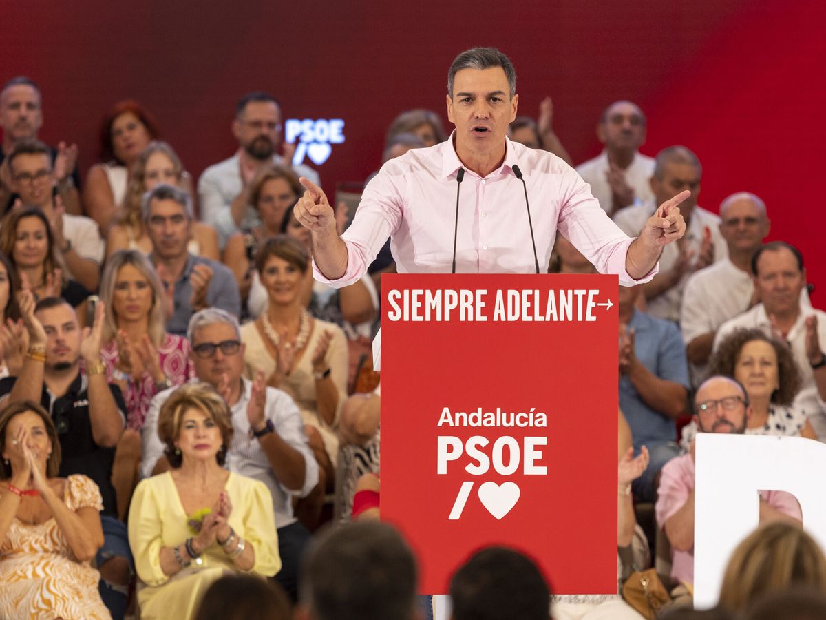 Foto: El presidente del Gobierno en funciones, Pedro Sánchez, en un acto del PSOE en Málaga el pasado fin de semana. (EFE/Álvaro Cabrera)