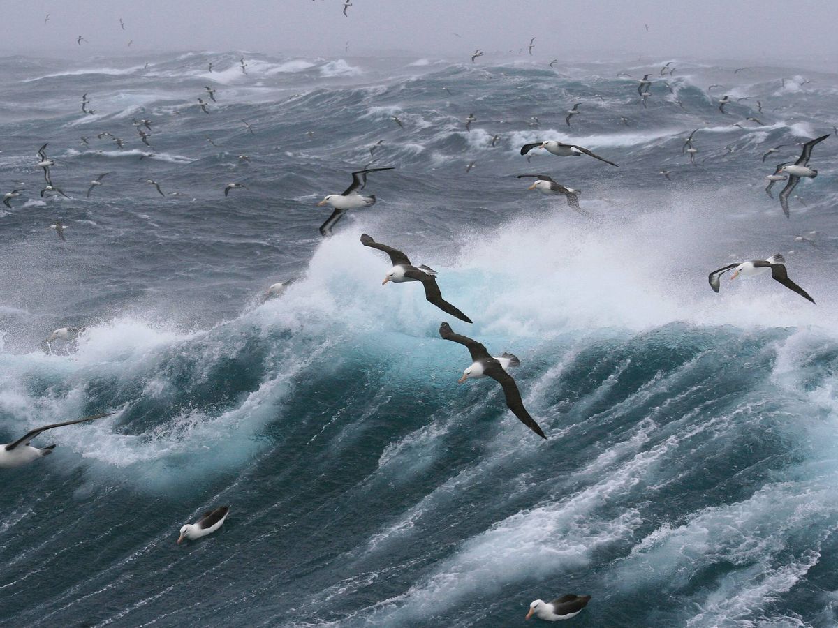 Foto: Aguas del océano Atlántico, uno de los que más calor absorbe. (Unsplash)