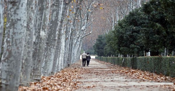 Foto: Madrid cierra el Retiro y otros seis parques por culpa de los fuertes vientos. (EFE)