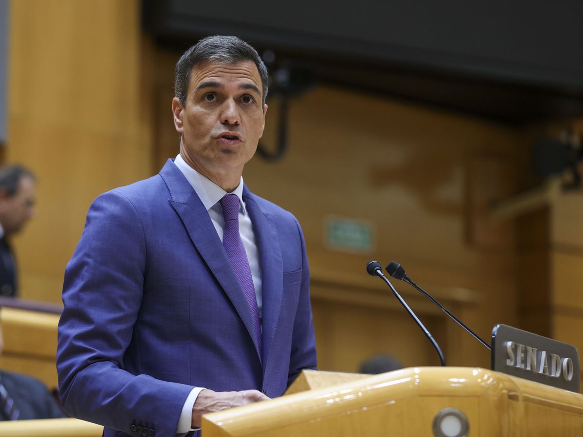 Foto: El presidente del Gobierno, Pedro Sánchez, en el pleno del Senado. (EFE/Kiko Huesca)