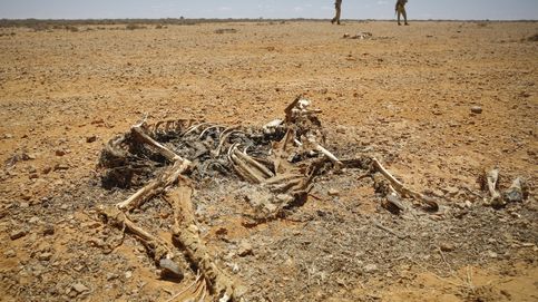 Somalia declara el estado de emergencia humanitaria por la sequía