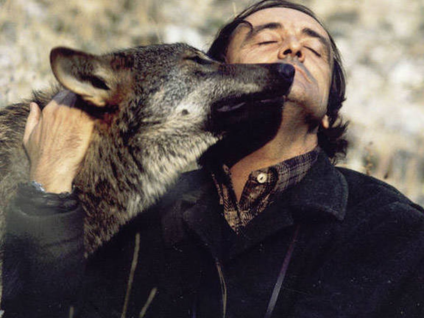 El gran naturalista y divulgador ambiental Félix Rodríguez de la Fuente ha sido el mayor defensor del lobo ibérico. (TVE)