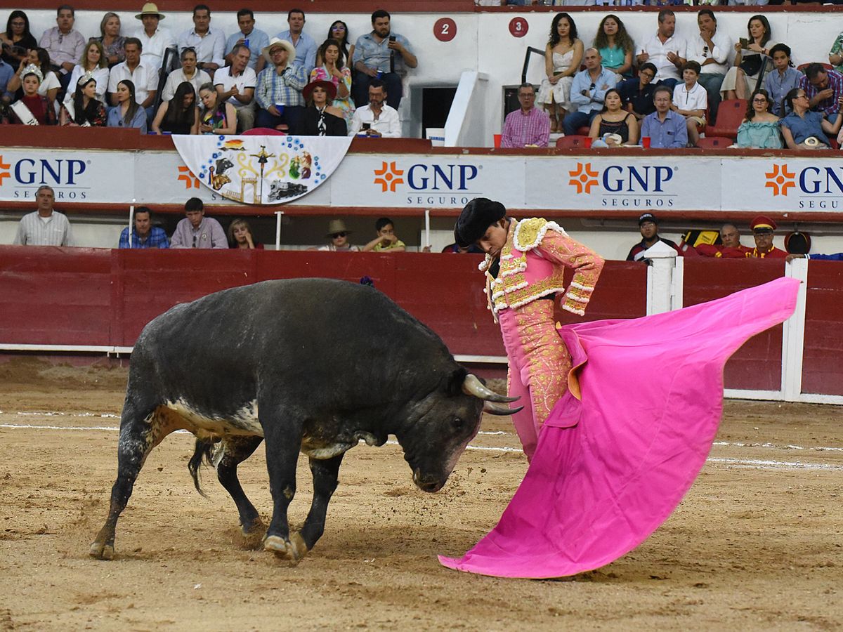 Foto: El torero mexicano Leo Valadéz lidiando a un toro (EFE/Tadeo Alcina)