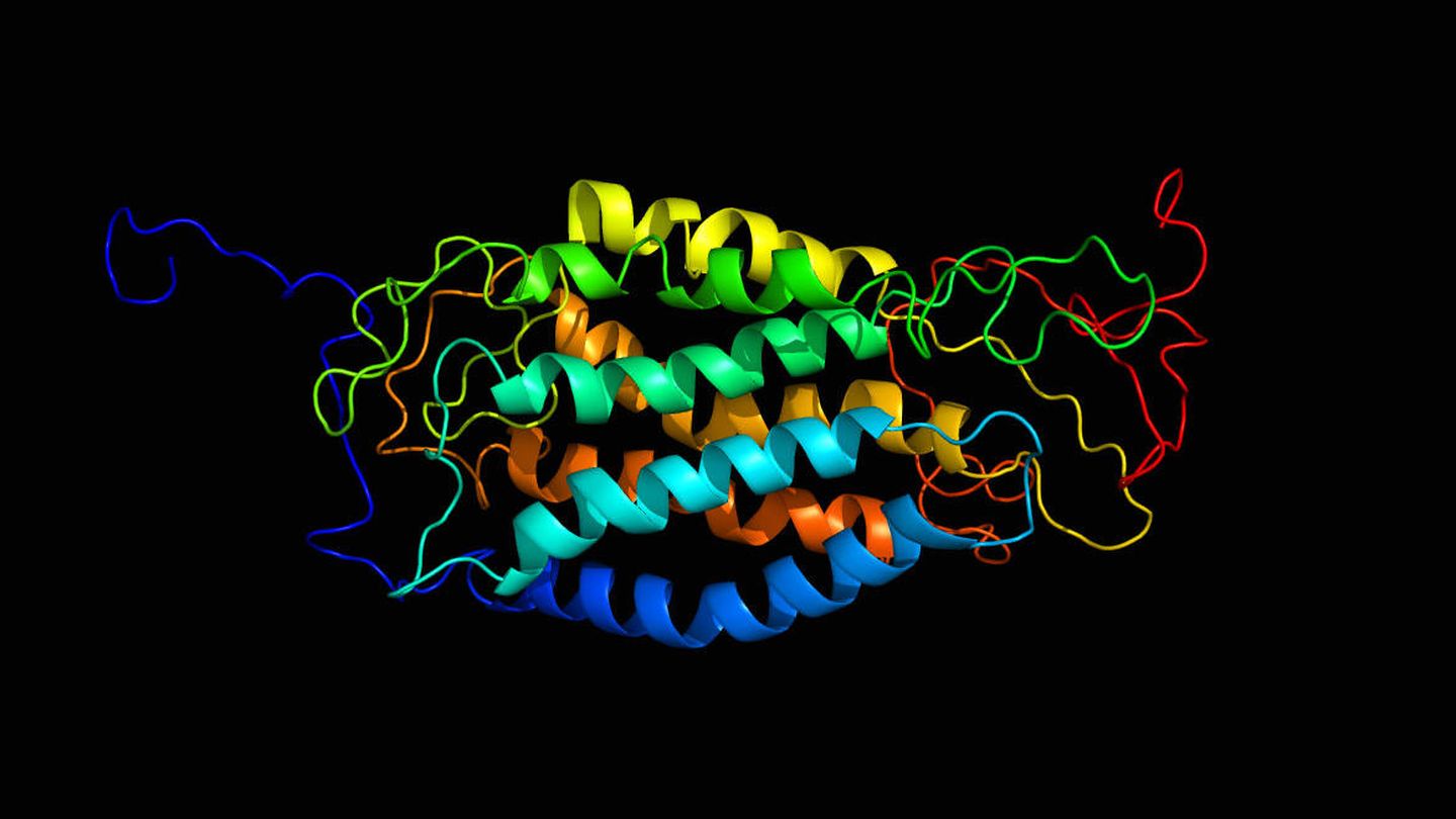 Representación de la proteína CCR5. (Wikipedia)