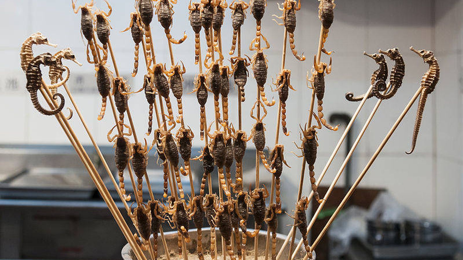 Cierra el mercado de bichos de Pekín: adiós a las brochetas de escorpiones