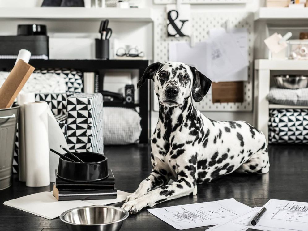 Sueño miel Agarrar Ikea lanza una nueva colección para que tu perro sea el rey de la casa, y tú  tengas que limpiar menos