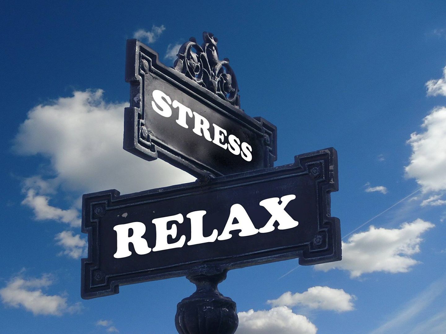 Uno de los beneficios más sorprendentes del estrés es que puede ayudar a construir relaciones interpersonales, que son clave para la salud en general. (Pixabay)