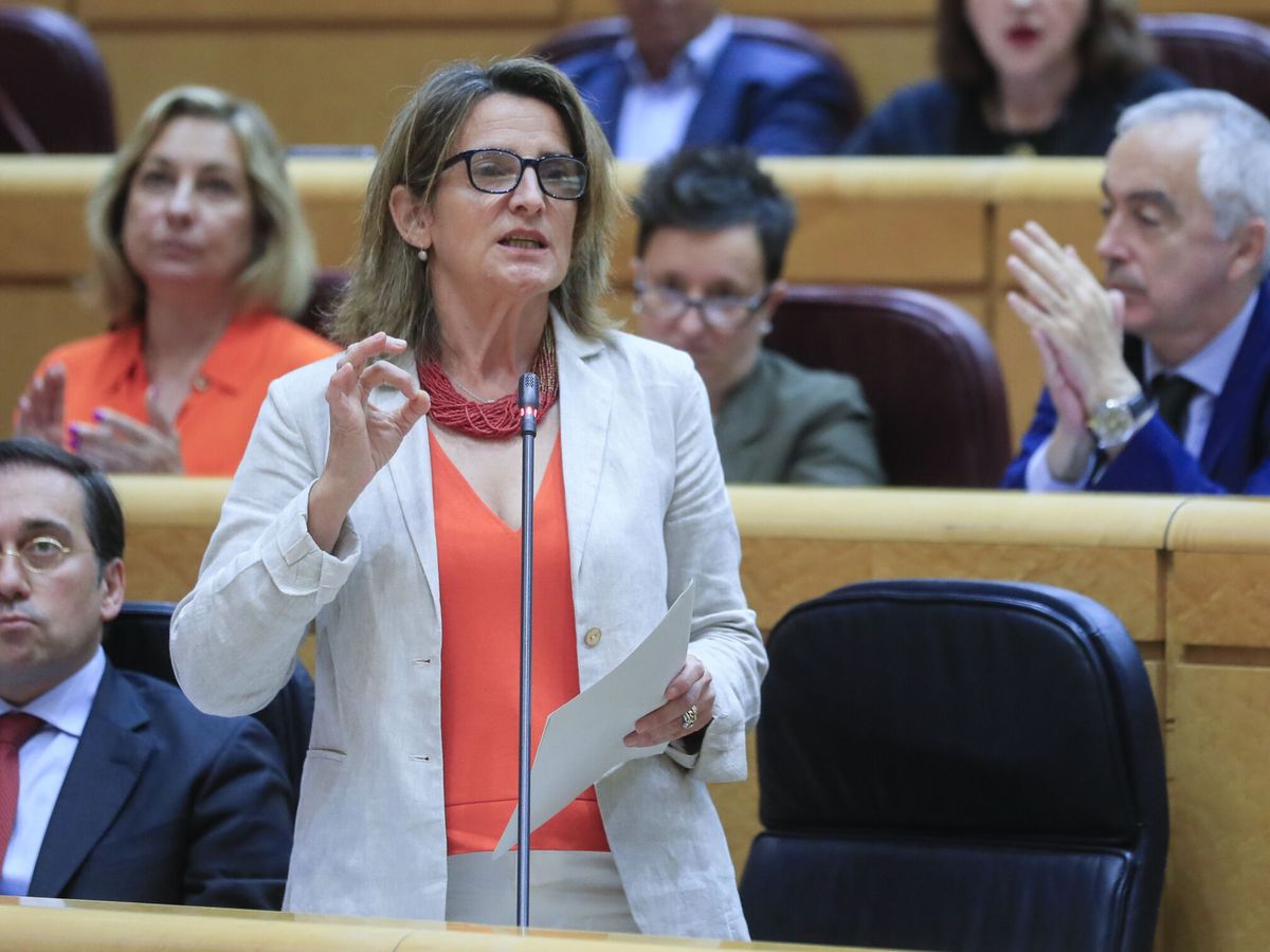 Foto: La ministra de Transición Energética, Teresa Ribera. (EFE/Fernando Alvarado)