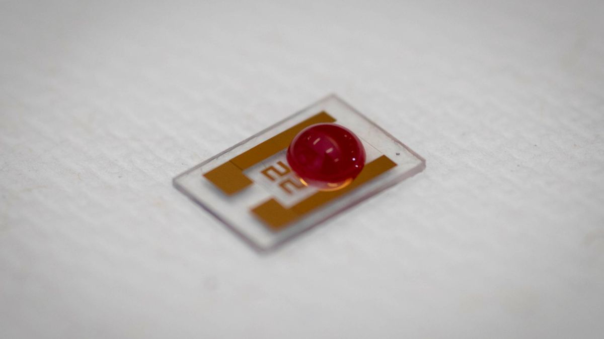 Crean un nuevo 'chip' de carbono que puede detectar el cáncer con antelación