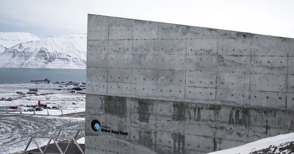 Foto: International gene bank svalbard global seed vault near longyearbyen on spitsbergen