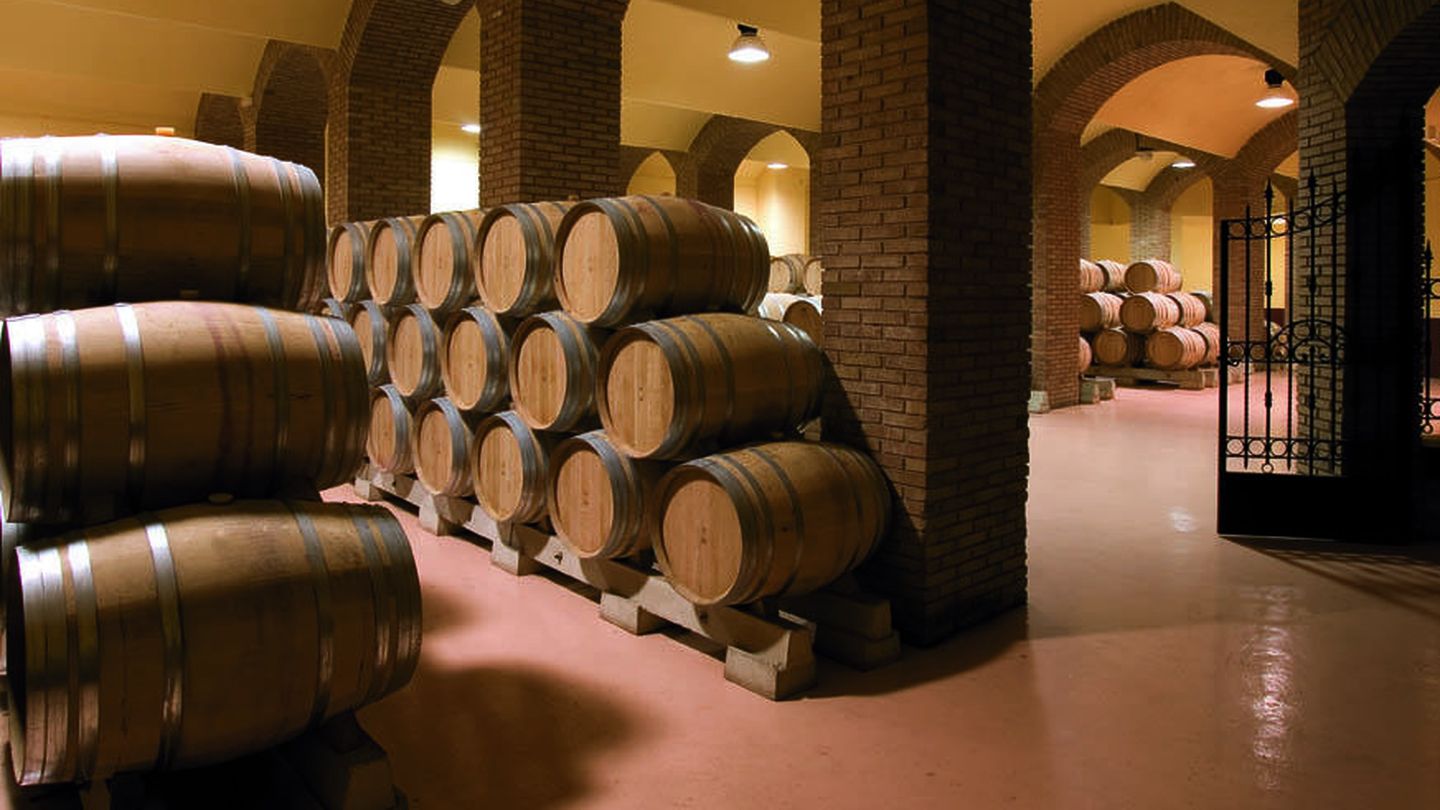 Sala de barricas de bodegas Izadi, en Villabuena de Álava (Rioja)