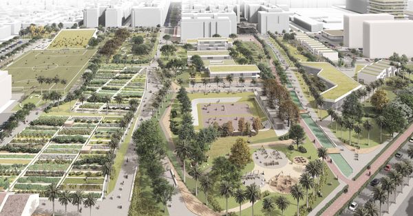 Foto: La almendra central del PAI de Benimaclet de Metrovacesa concentrará las zonas verdes y dotacionales.  