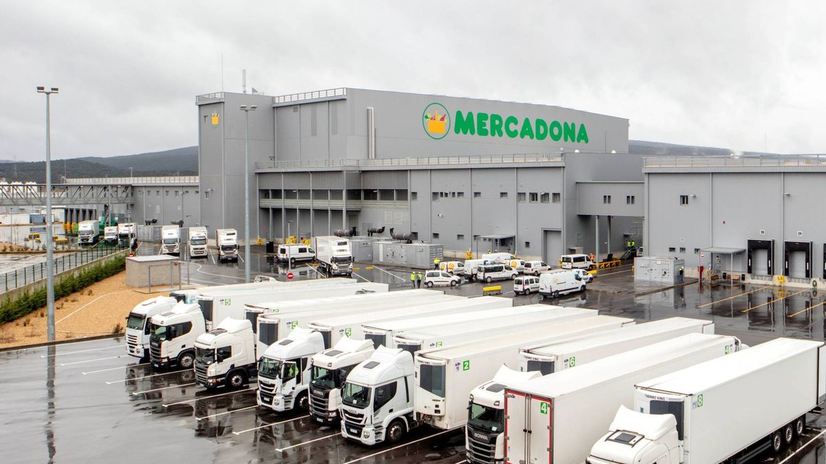 Mercadona termina su bloque logístico en Euskadi por 187 millones y con 480 empleos