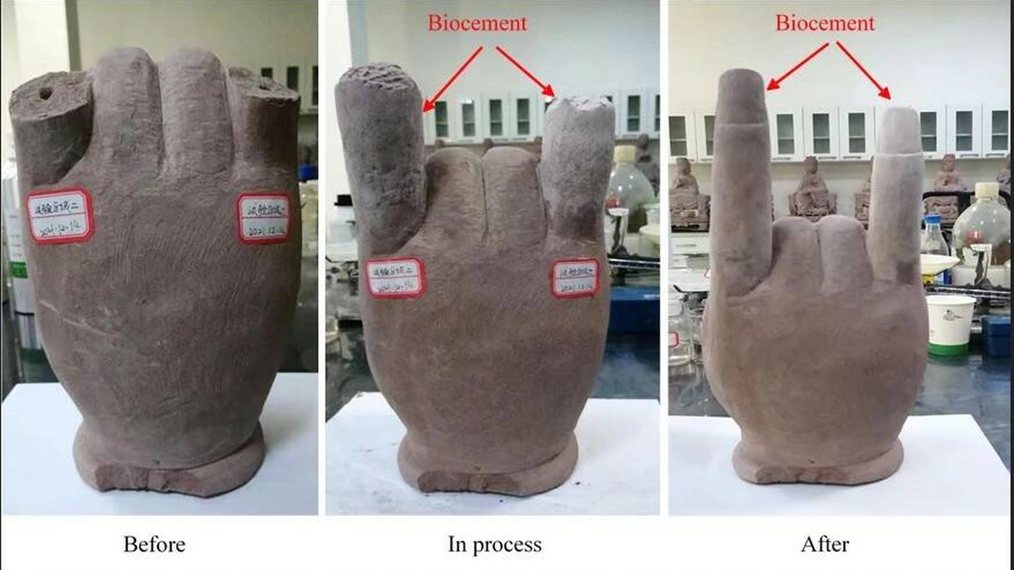 Muestra del proceso del biocemento con una escultura de la mano de Buda (Universidad Tecnológica de Nanyang).
