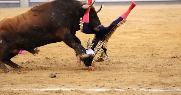 Foto: El diestro francés Sebastián Castella sufre una voltereta por el segundo de su lote en el vigésimo tercer festejo de la Feria de San Isidro 2018. (EFE)