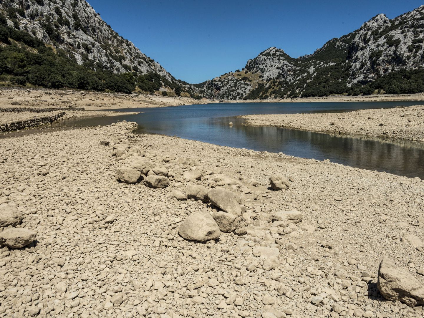 Cinco años de sequía han dejado embalses y cabeceras de ríos en mínimos históricos. (EFE)