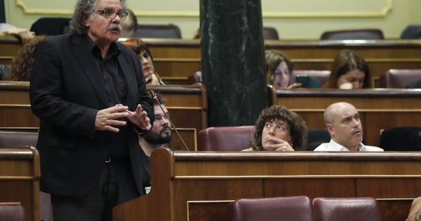 Foto: El portavoz de ERC en el Congreso, Joan Tardà. (EFE)