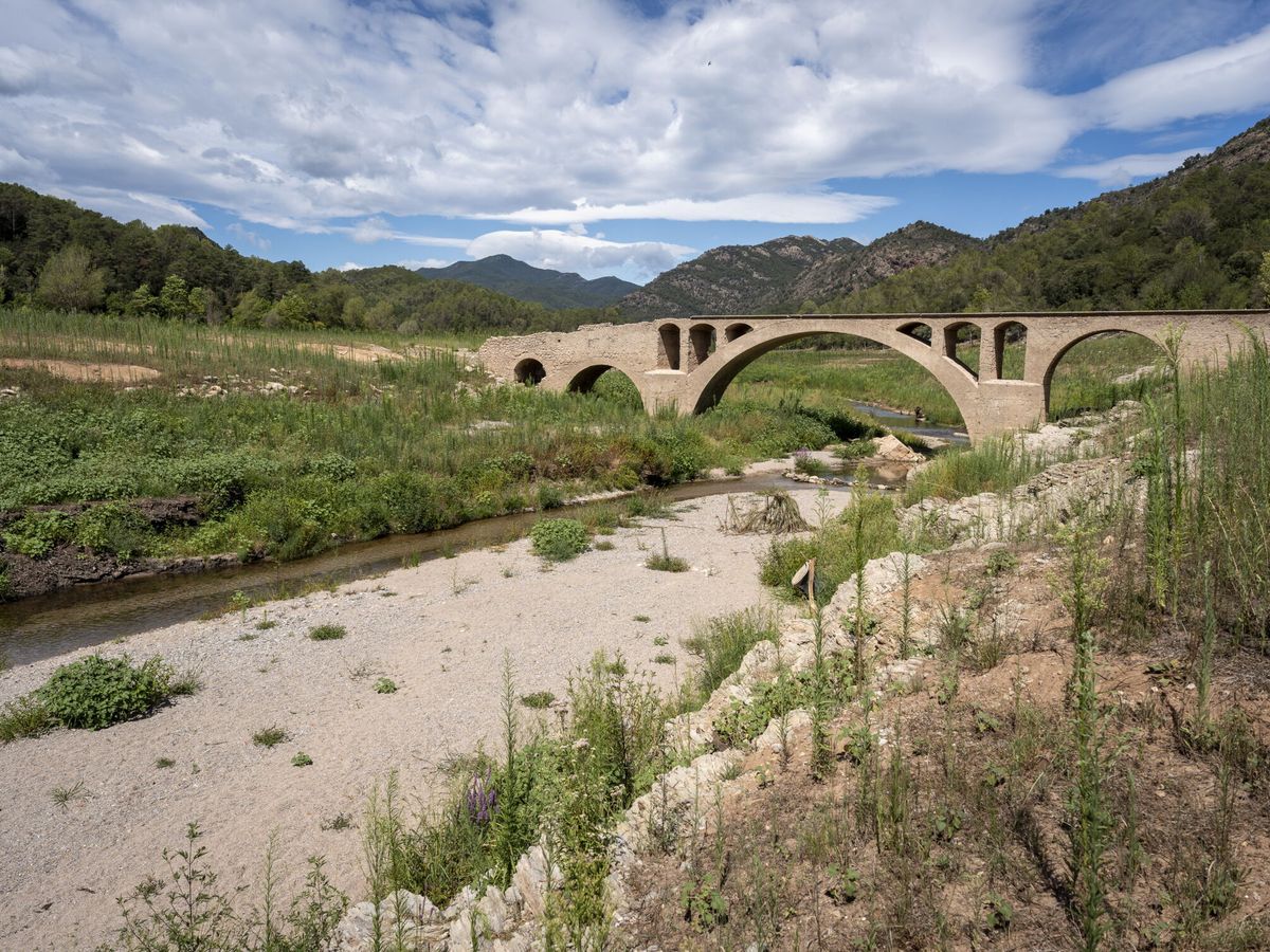 Foto: El río Muga a su paso por el Pont de Riambau, en la provincia de Girona (EFE/D.Borrat)