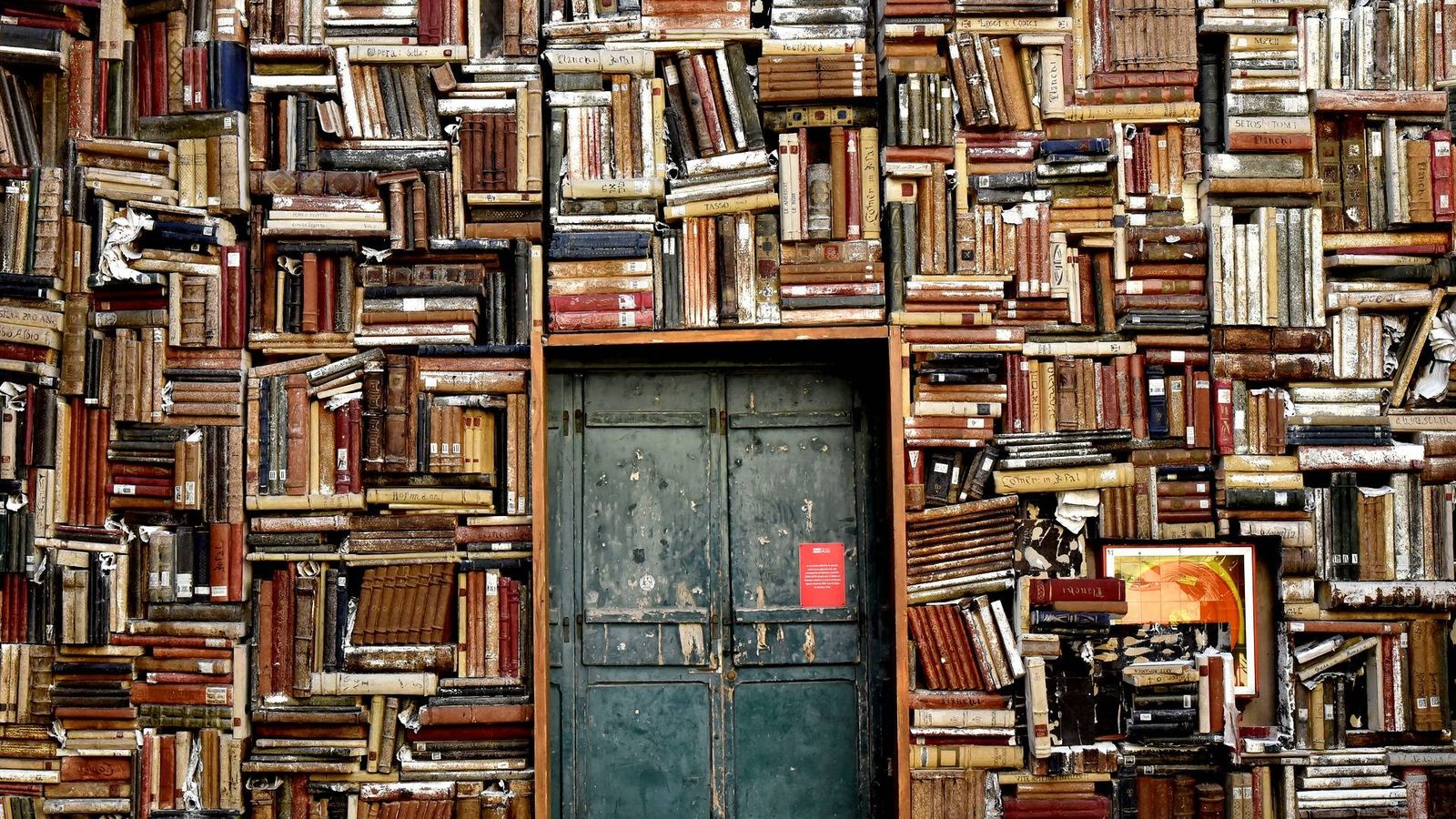 Foto: Una estantería atestada de libros (Pixabay)