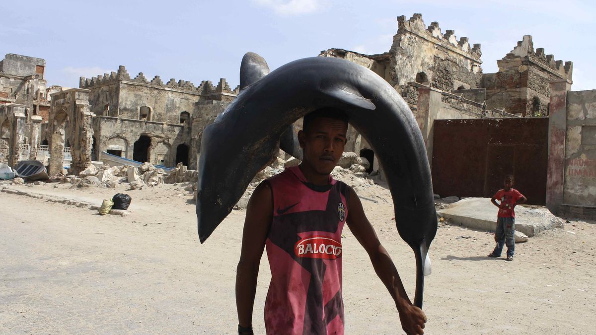 Los piratas somalíes se vuelven pescadores