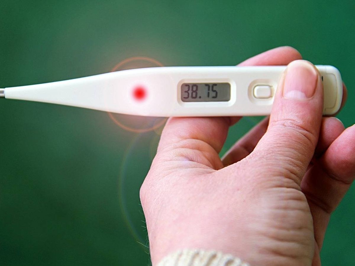 ayuda Meandro Medicinal Termómetros digitales para medir la temperatura de niños y adultos