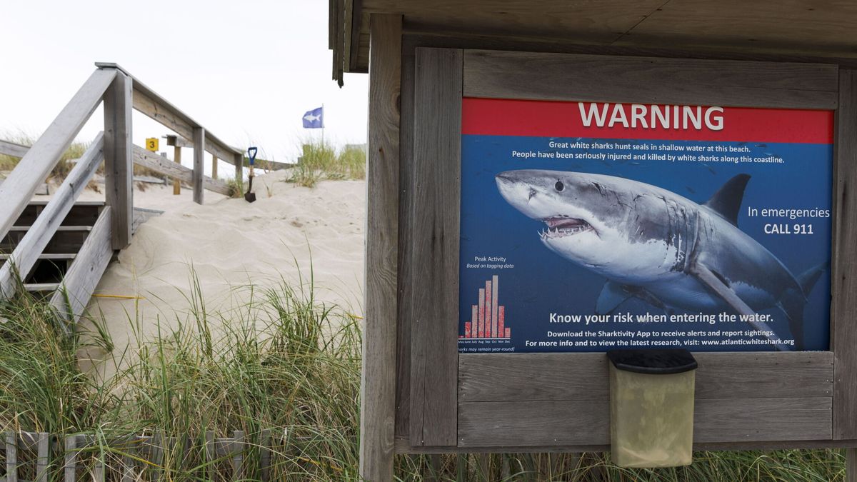 Cierran una de las playas de Nueva York por el ataque de un tiburón