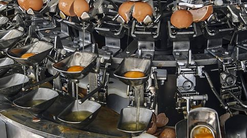 Auge y caída de la industria de la clara de huevo líquida 