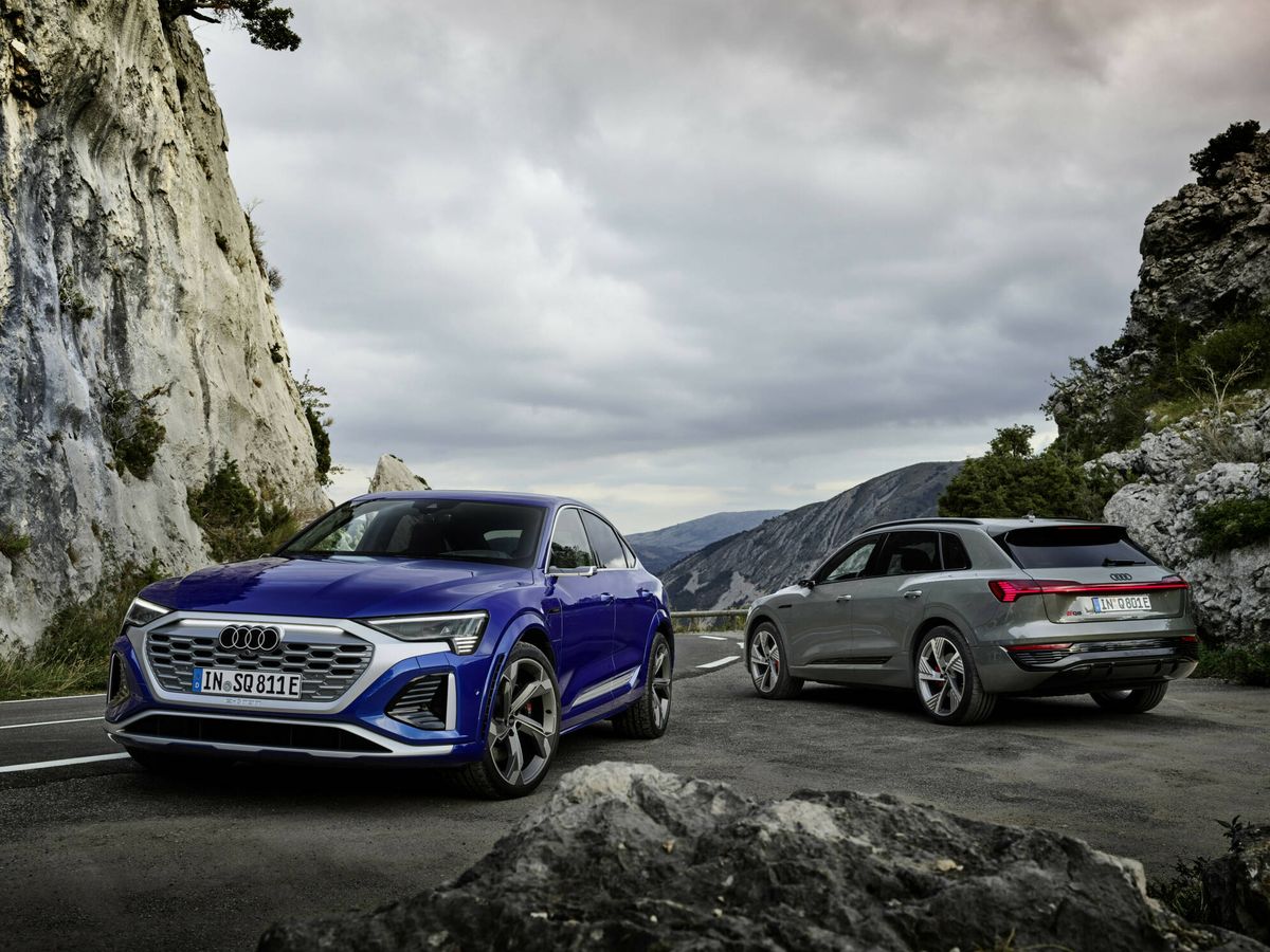 Foto: El nuevo Q8 e-tron está disponible tanto en carrocería SUV como Sportback. (Audi)
