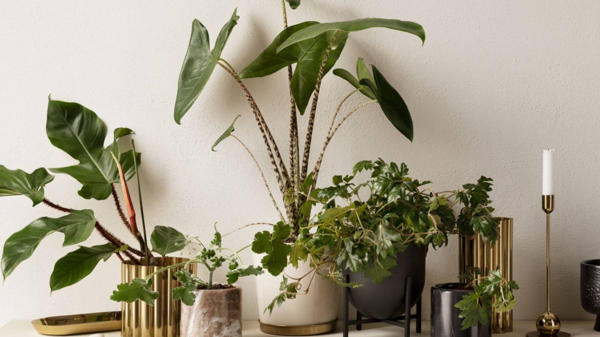H&M Home decora nuestras estanterías con estas nuevas macetas para plantas