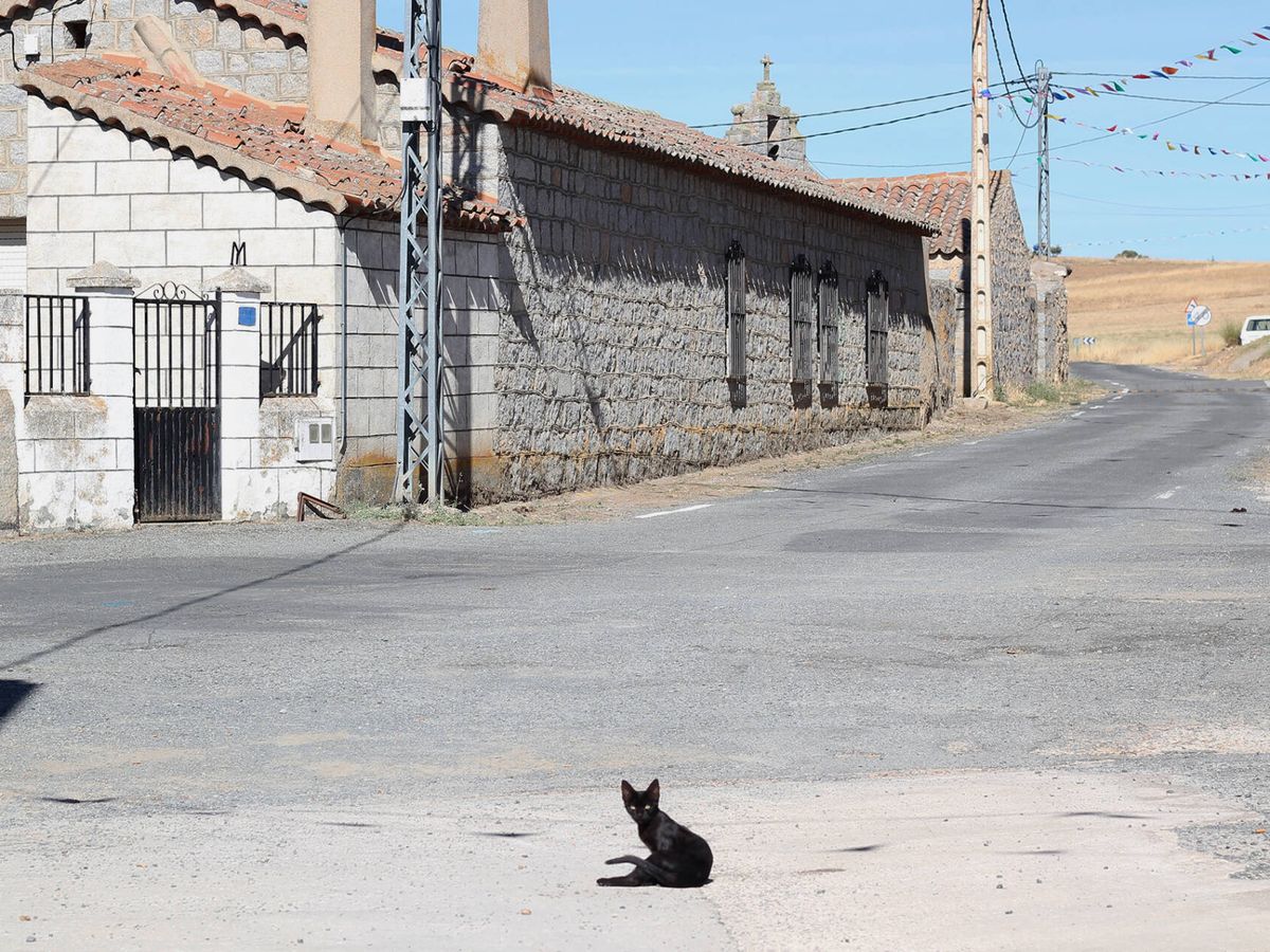 Foto: Un gato negro al sol en las calle de Tolbaños (Ávila).