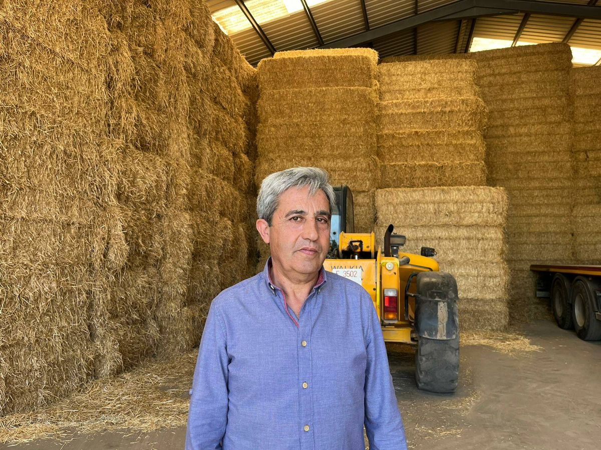Foto: El agricultor Jesús Anchuelo. (A. F.)