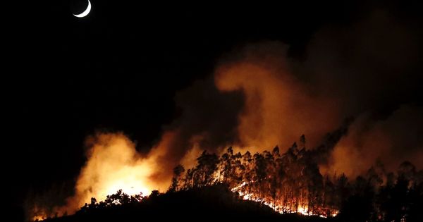 Foto: Incendio en Sorella. (EFE)
