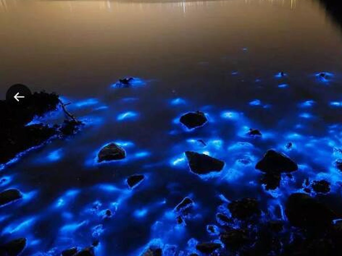 Foto: Así es el efecto de bioluminiscencia que se ha producido en esta playa (Twitter/ @ideanomada)