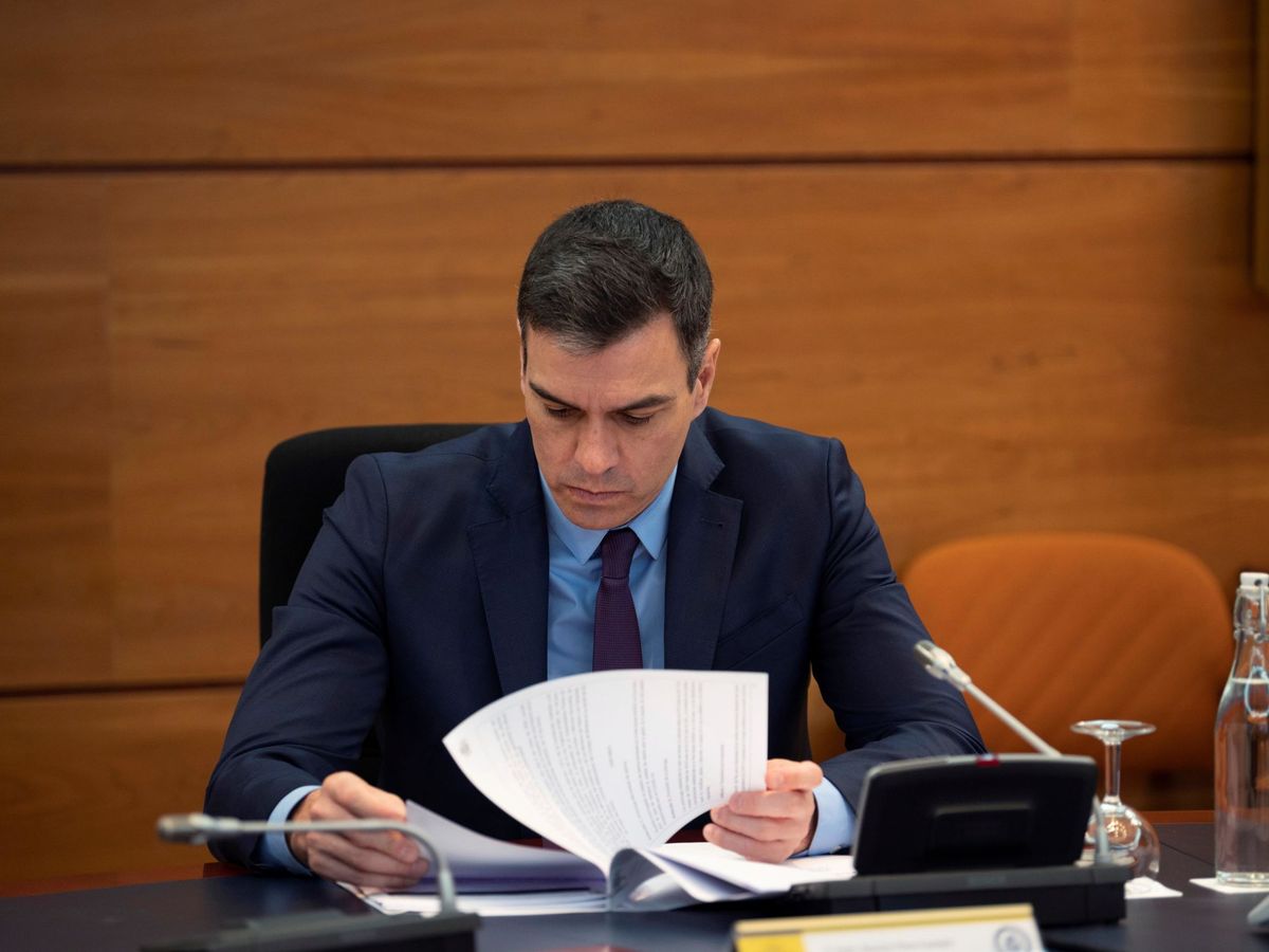 Foto: El presidente del Gobierno, Pedro Sánchez, durante una reunión del Consejo de Ministros. (EFE)