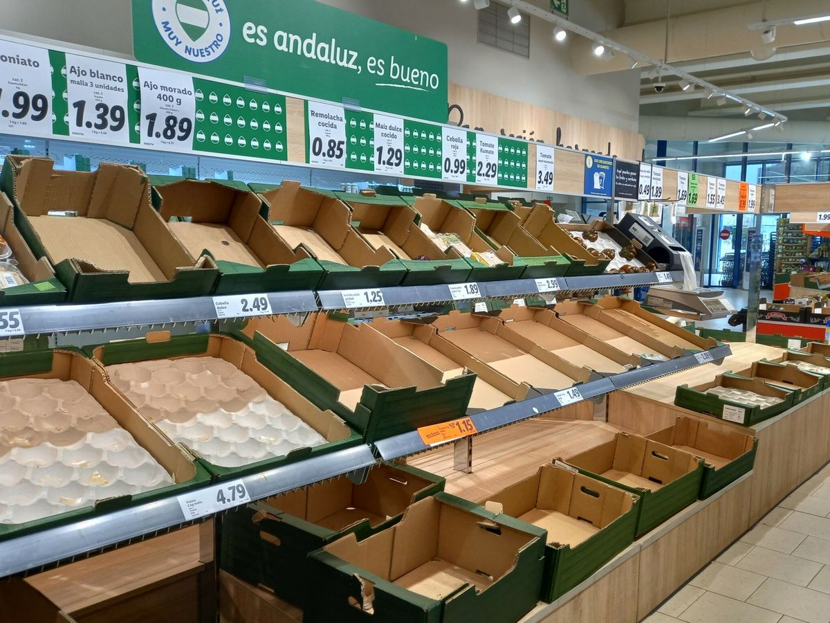 Foto: Lineales vacíos en un supermercado de Córdoba por el paro de los transportistas de marzo. (EFE/Salas)
