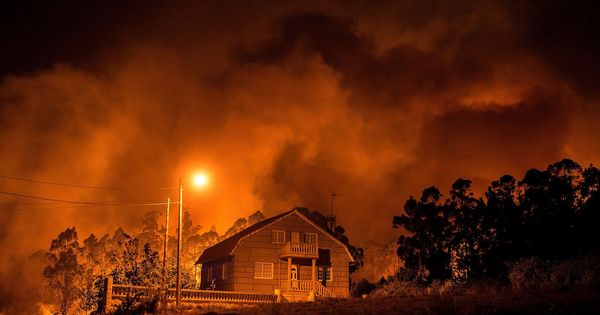 Foto: Incendios forestales en Galicia (EFE)