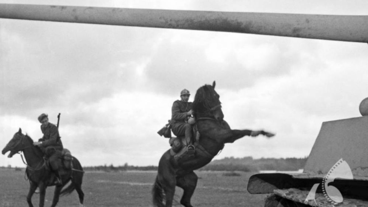 Así fue cómo el caballo cambió el mundo: del 'cowboy' español a la fobia de Hitler
