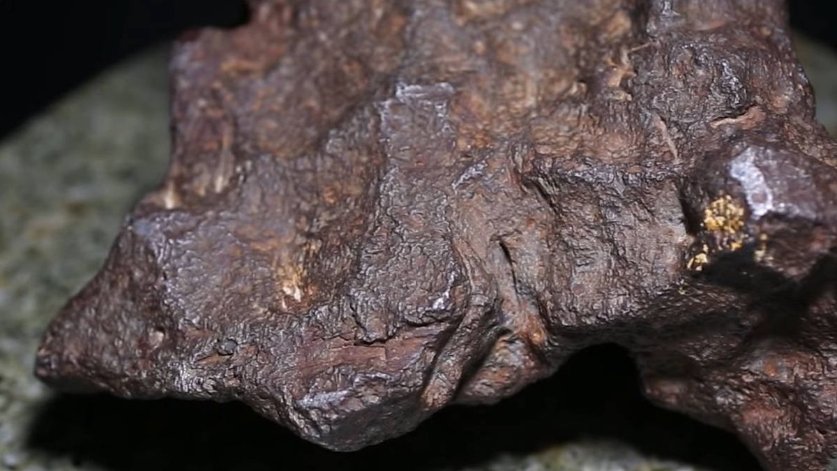 Una roca usada como tope de una puerta resulta ser un meteorito de 100.000 dólares