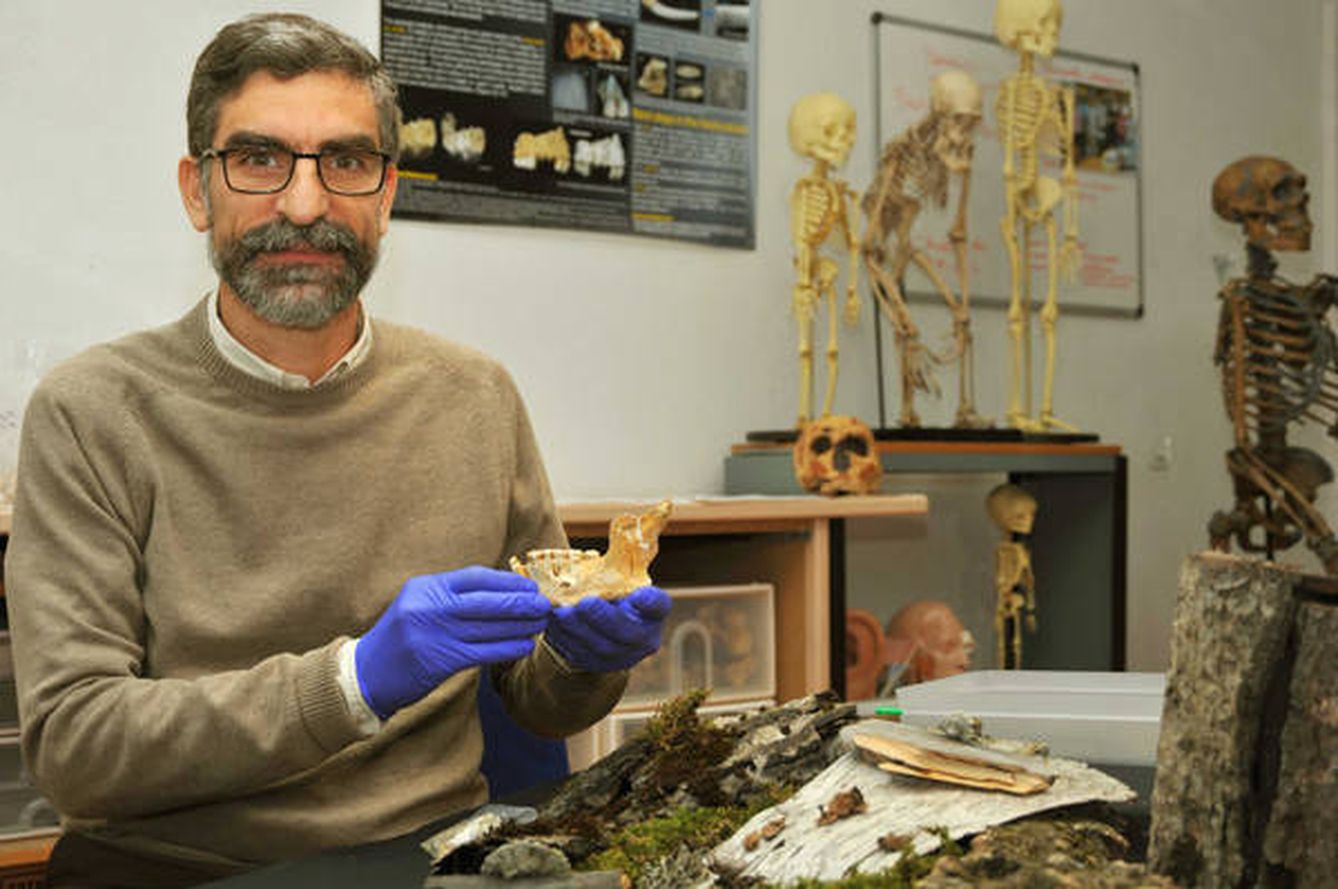 El investigador del CSIC Antonio Rosas con la mandíbula neandertal / Andrés Díaz (CSIC)