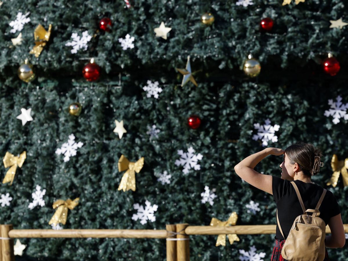 Foto: Una persona pasa junto a uno de los árboles de Navidad que decoran Valencia. (EFE/Ana Escobar)