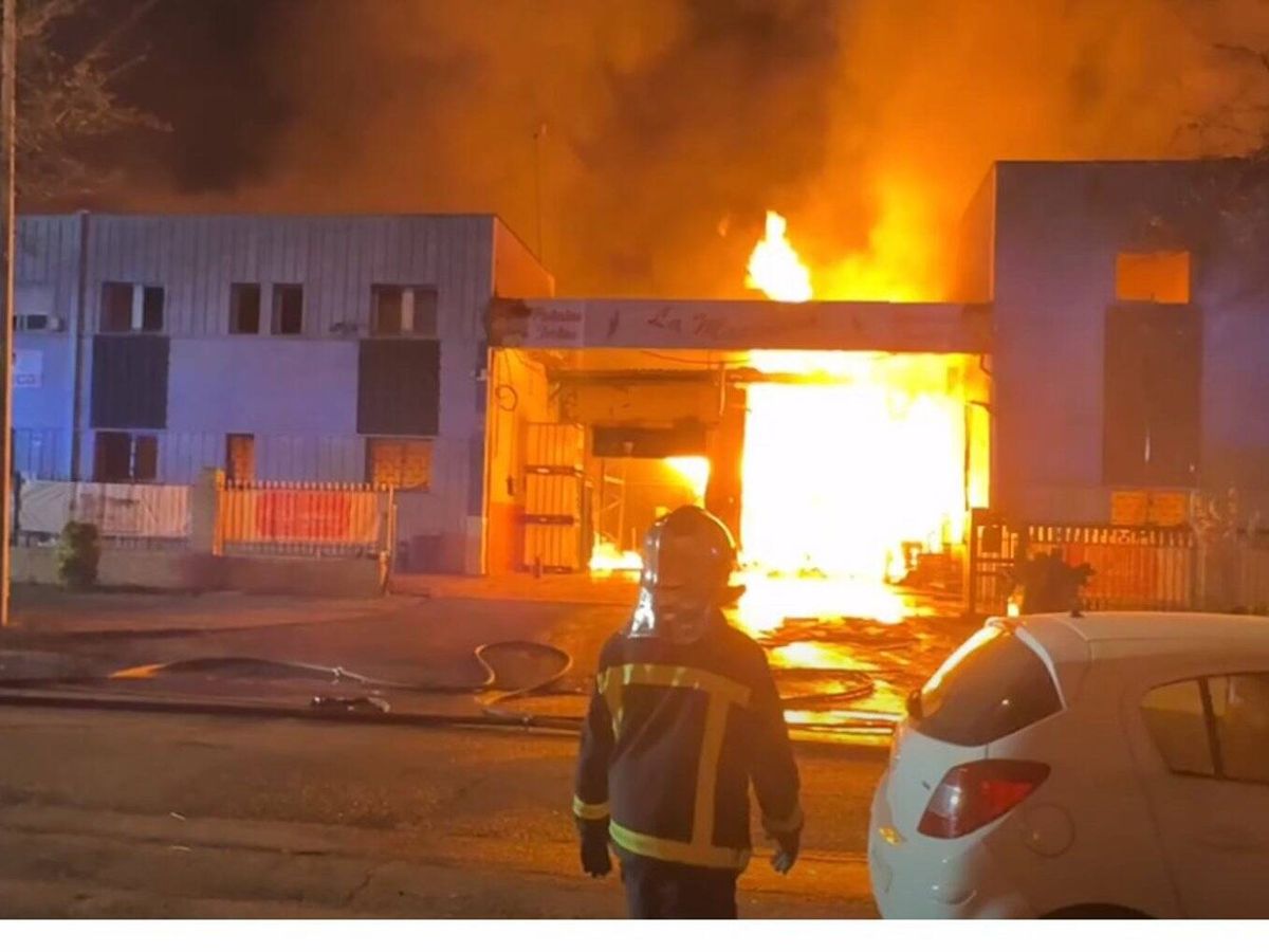 Foto: Un incendio quema 4.800 metros cuadrados de una nave industrial dedicada a la alimentación en Tres Cantos. (Emergencias 112 Madrid)