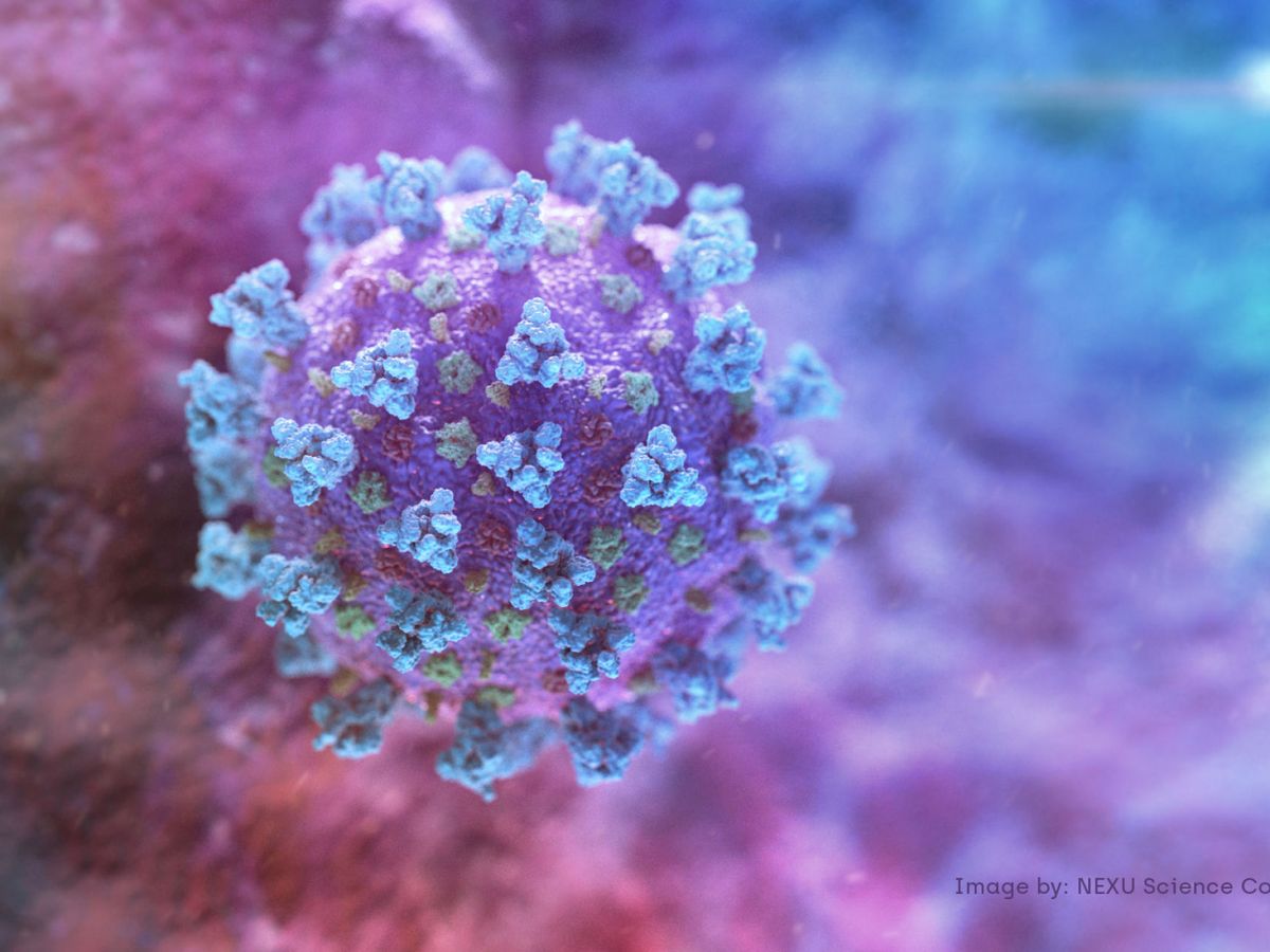Foto: Modelo representativo de un coronavirus. (Reuters)