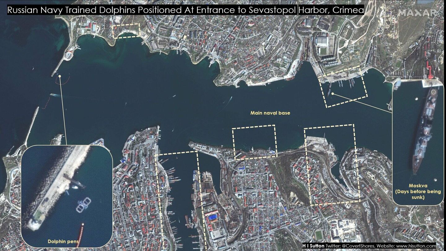 La base militar de Sebastopol con barcos de la marina rusa y los delfines. (Maxar/USNI)