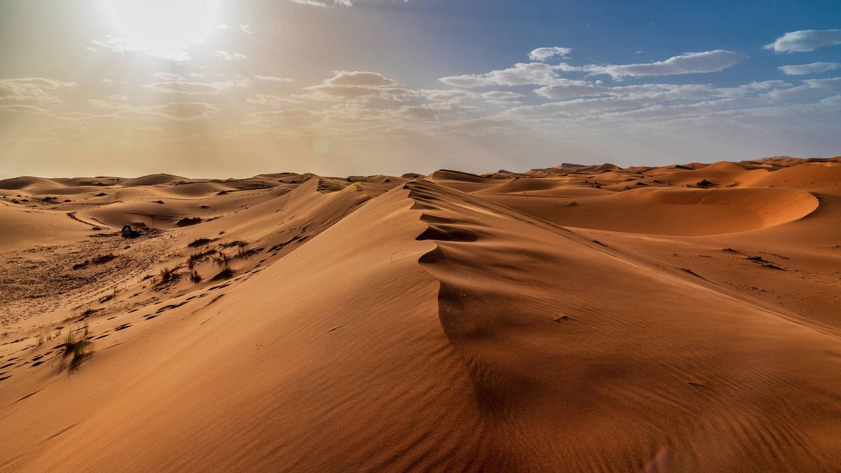 Cuando el Sáhara era un gran pasto verde: ¿por qué se secó y llenó de arena?