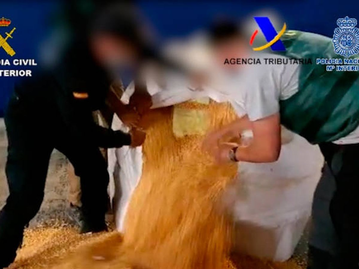 Foto: La droga viajaba oculta en sacos de maíz procedentes de Brasil (Guardia Civil)